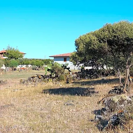 Il Nuraghe Bed & Breakfast Uras